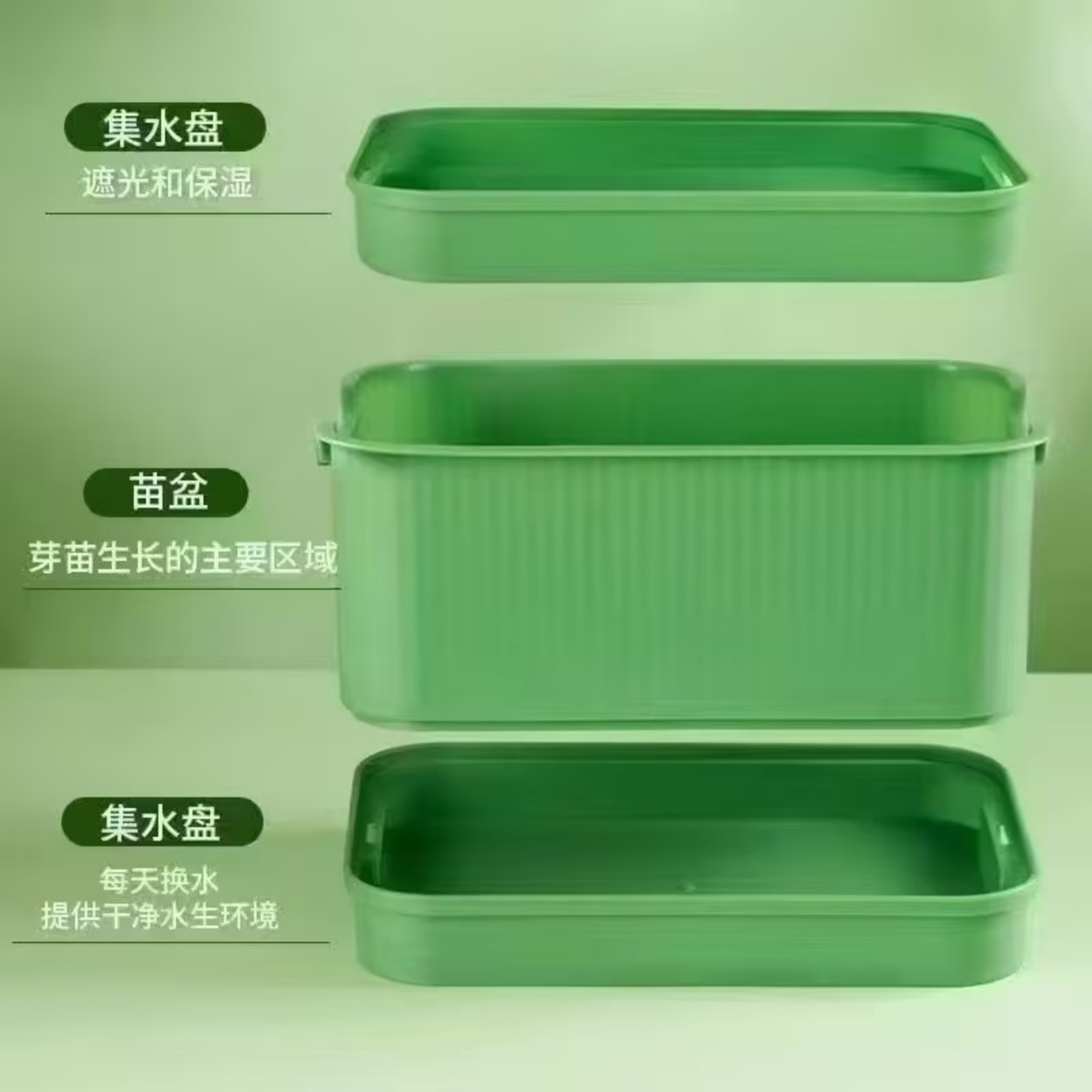 Sprout Tray